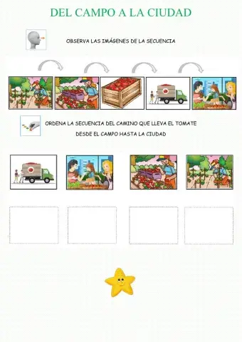 Del campo a la ciudad