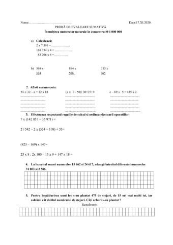 Înmulţirea numerelor naturale în concentrul 0-1 000 000