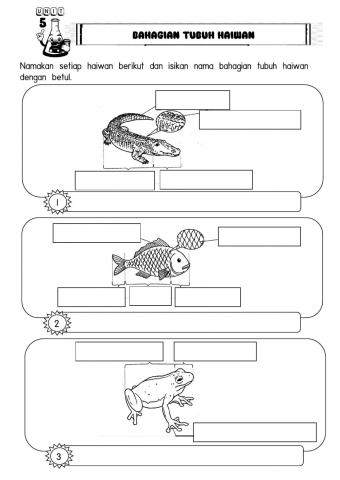5.1.1 Bahagian tubuh haiwan Sains Tahun 1