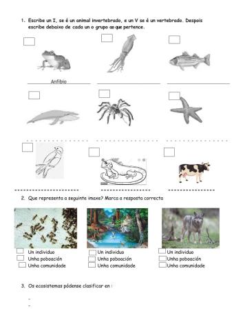 Invertebrados-Vertebrados