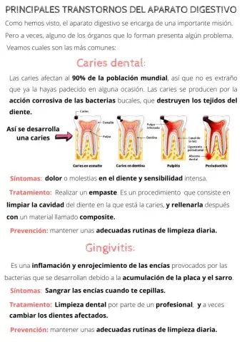 Trastornos del aparato digestivo