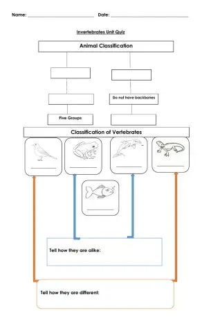 Vertebrates and Invertebrates