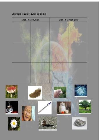 Bizidunak eta bizigabeak