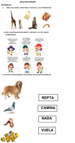 Las extremidades de os animales