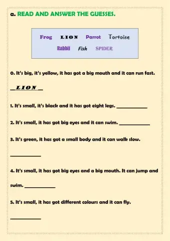 Answer the guesses-Number the pictures