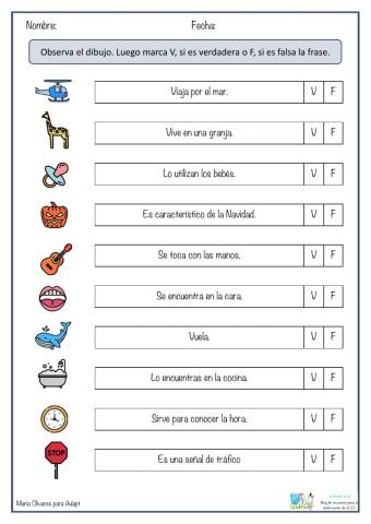 Lee las frases y di si son verdaderas o falsas.