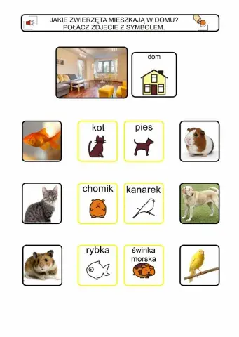 Zwierzęta na domu i w zoo