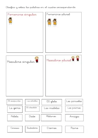 Clasificación palabras masc., fem. pl. y singular