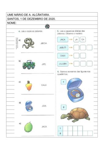 Ortografia e gramática