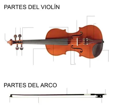 Partes del violín y arco