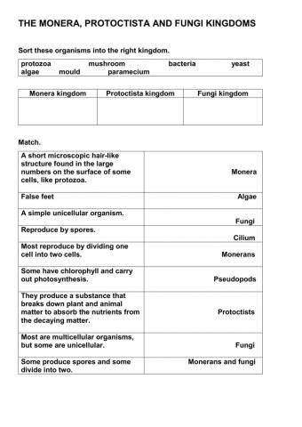 The Monera, Protoctista and Fungi kingdoms