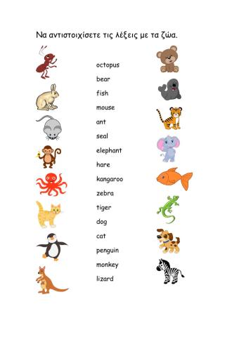 Animal matching