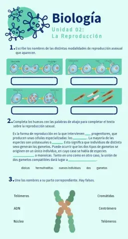 Unidad 02: La reproducción celular