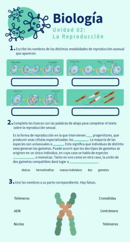 Unidad 02: La reproducción celular