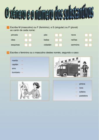 O xénero e o número dos substantivos