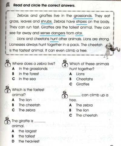 Year 3 Comprehension 1