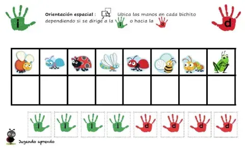 orientación espacial: izquierda-derecha