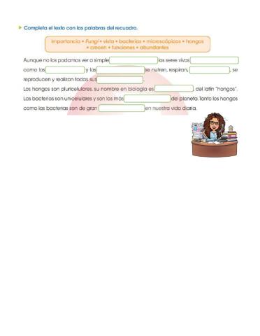 Hongos y bacterias