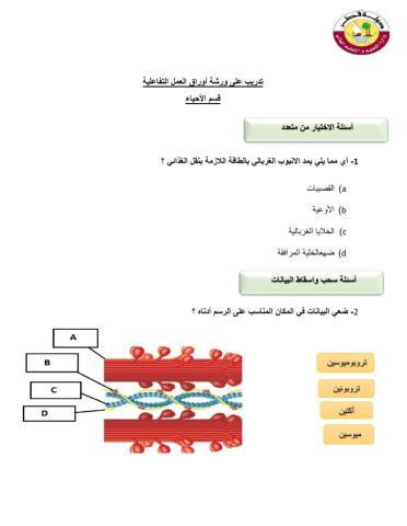 مراجعة احياء 12علمي