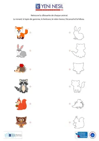 Les Animaux de la Forêt