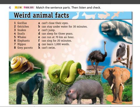 Weird facts about animals.