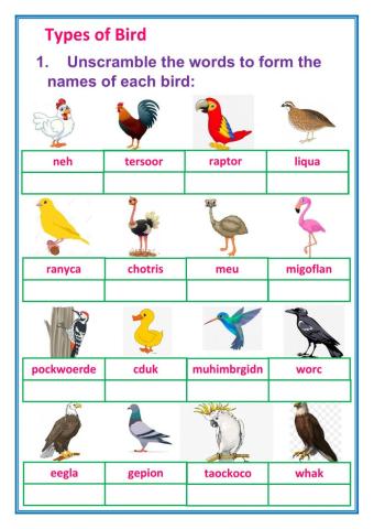 Types of Birds