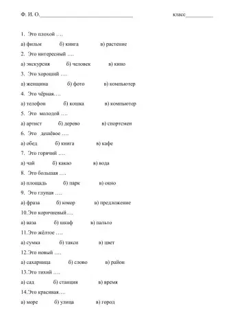 Род имён существительных