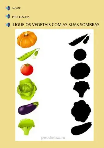 Alimentação - ligue os vegetais as suas sombras