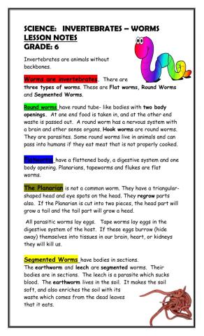 Science: Invertebrates - Worms Notes