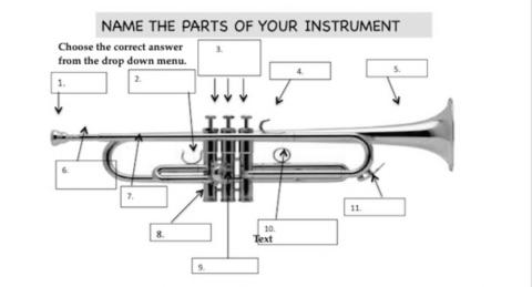 Parts of the Trumpet