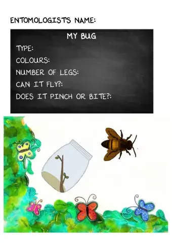 Bugs research
