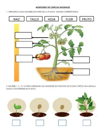 Monitoreo ciencias naturales