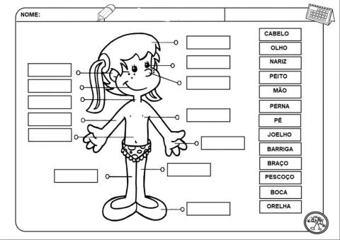 PARTES DO CORPO