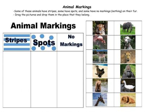 Animal Marking