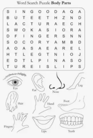 Word search, body parts