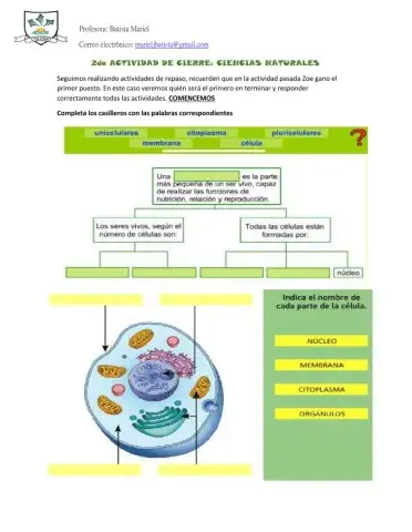 2do Act. Cierre- CIENCIAS NATURALES