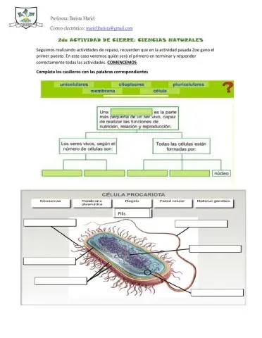 2do Act. Cierre- CIENCIAS NATURALES