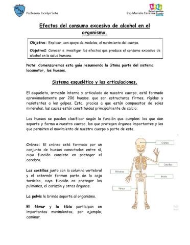 Efectos del consumo de alcohol excesivos en el organismo