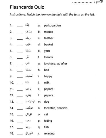 القطة - The Cat