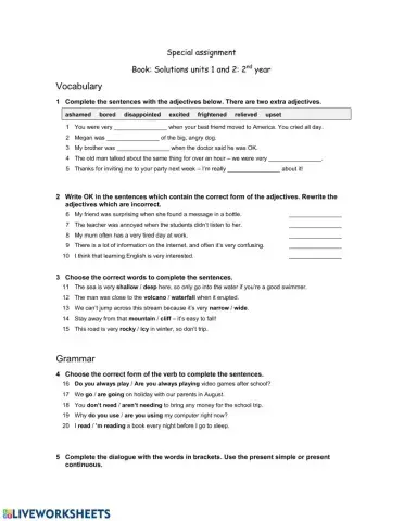 Vocabulary and grammar 2nd year