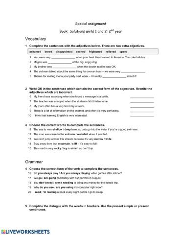 Vocabulary and grammar 2nd year