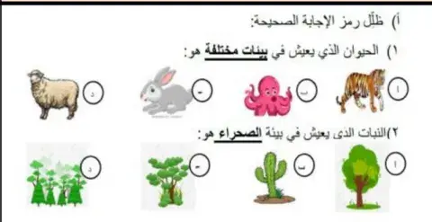 علوم البيئات