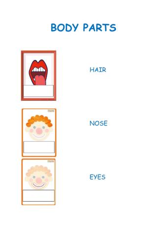 Body parts