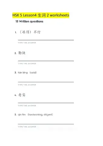 HSK 5 Lesson 4 生词 2 worksheets