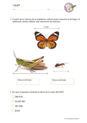 Prova global de la Unitat 1 - EMAT5 - 1-3