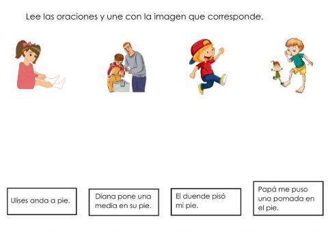 Lee las oraciones y une con la imagen que corresponde.