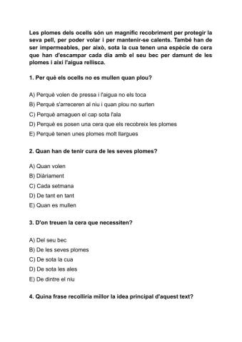 Comprensió lectora 3