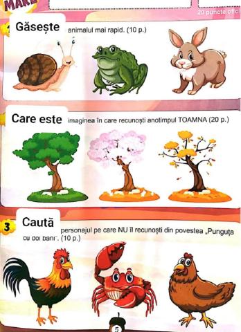 Fisa concurs micul istet g mare