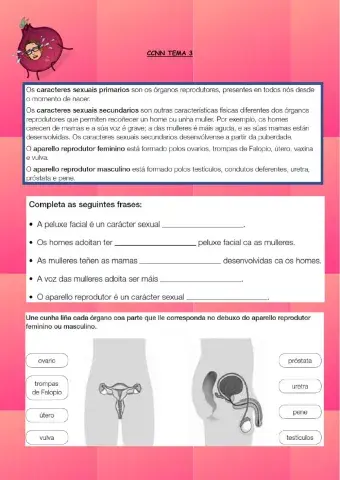 O aparello reproductor