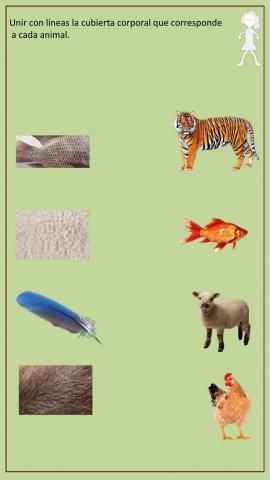 Une con líneas la cubierta de cada animal